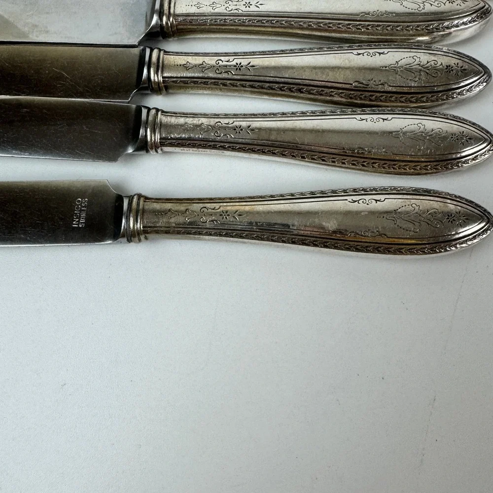 1847 Rogers Bros Argosy Silverplate Dinner Knives Insico Stainless Set of 4 9.5